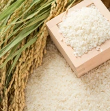 ���Č��@500�~