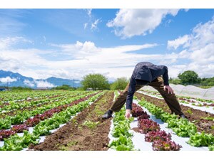 ���y�ݐ؃C�x���g�z���̃I�[�i�[�̌�