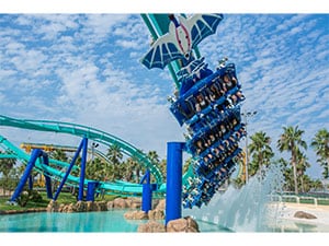 ���y�`�P�b�g�X���z�i�K�V�}�X�p�[�����h