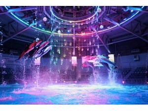 �y�d�q�`�P�b�g�z�}�N�Z���@�A�N�A�p�[�N�i��