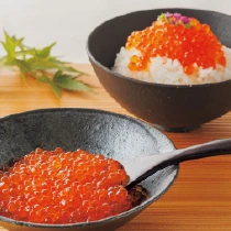 北海道産 大将いくら