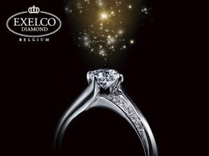 200�N���̗��j�Ɛ��k�ȋZ�p���ւ�y�G�N�Z���R �_�C�������h�z