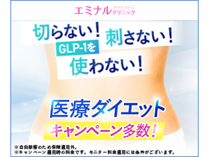 ��Ã_�C�G�b�g�Ȃ�G�~�i���N���j�b�N�yEMS�{�p1��v���[���g��z