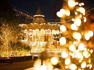 �y�ݐ؁z�R�^�P�R�Ђ炩���p�[�N�@�i�C�g�V���n