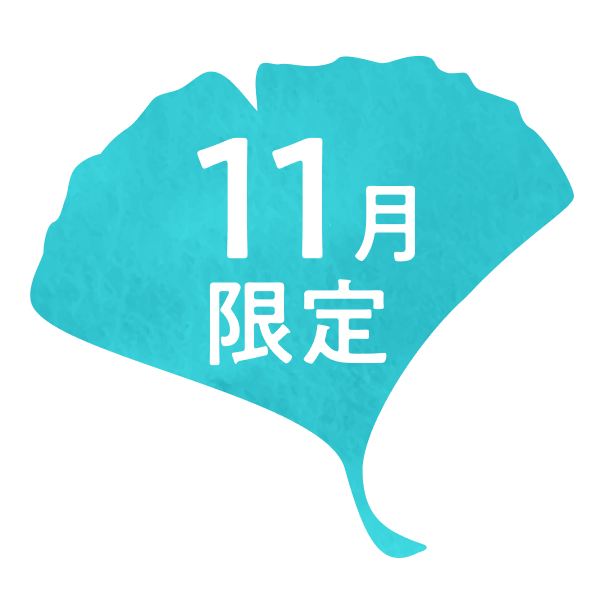 11������