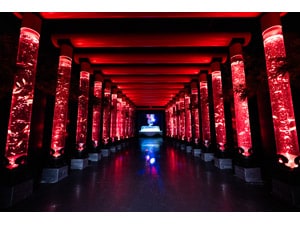 �y�d�q�`�P�b�g�z�A�[�g�A�N�A���E�����p��