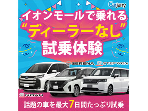 �b�������������i�J�[�W���[�j�[�j