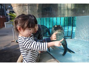 �y�̔����Ԍ���z�M��o�i�i���j��