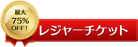 レジャーチケット