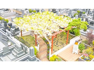 �w�����z������50�������ł��ē�