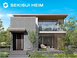 �Z�L�X�C�n�C��