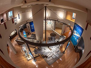 �y�������������c�`�x�z���̔�����