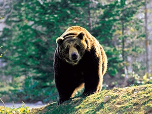 �T�z�����]�[�g�@�x�A�E�}�E���e��