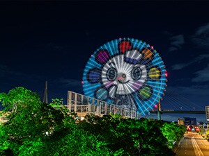 �V�ێR��ϗ���