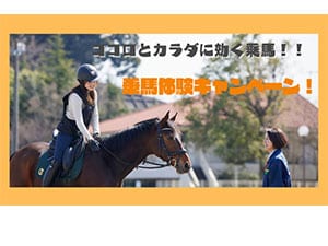 �̌���n�����ҁI��n�N���u�N���C��