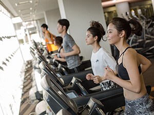 ���K���X�u���������v