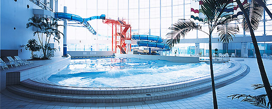 Ntt イフ Cluboff Plus 会員特典 優待サービス Ntt イフ Cluboff Plus 会員特典 優待サービス