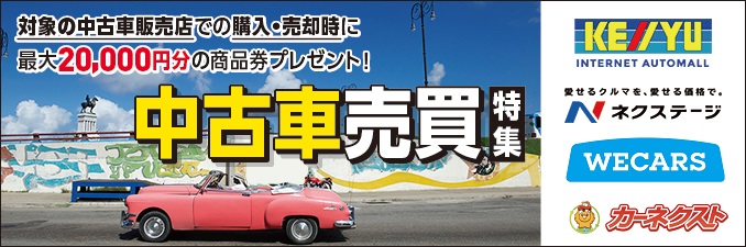 ���ÎԔ��p�����Îԍw�� ���W