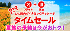 JAL_Ci~bNpbP[W ^CZ[