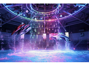 �y�d�q�`�P�b�g�z�}�N�Z���@�A�N�A�p�[�N�i��