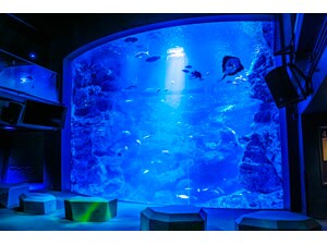 �y�ݐ؃C�x���g�z���s�����كA�[���[�G���g���[