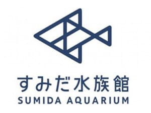 �y�d�q�`�P�b�g�z���݂�������