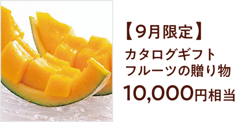 9������/�J�^���O�M�t�g�t���[�c�̑��蕨10,000�~��