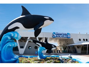 �y�d�q�^�R�����p����z����V�[���[���h