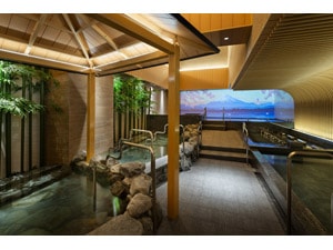 �y�d�q�`�P�b�g�z���߂�������@�P�c�`�x�p�X�|�[�g