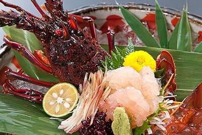 �ɐ�����