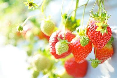 ������c�{��