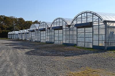 ������c�{��