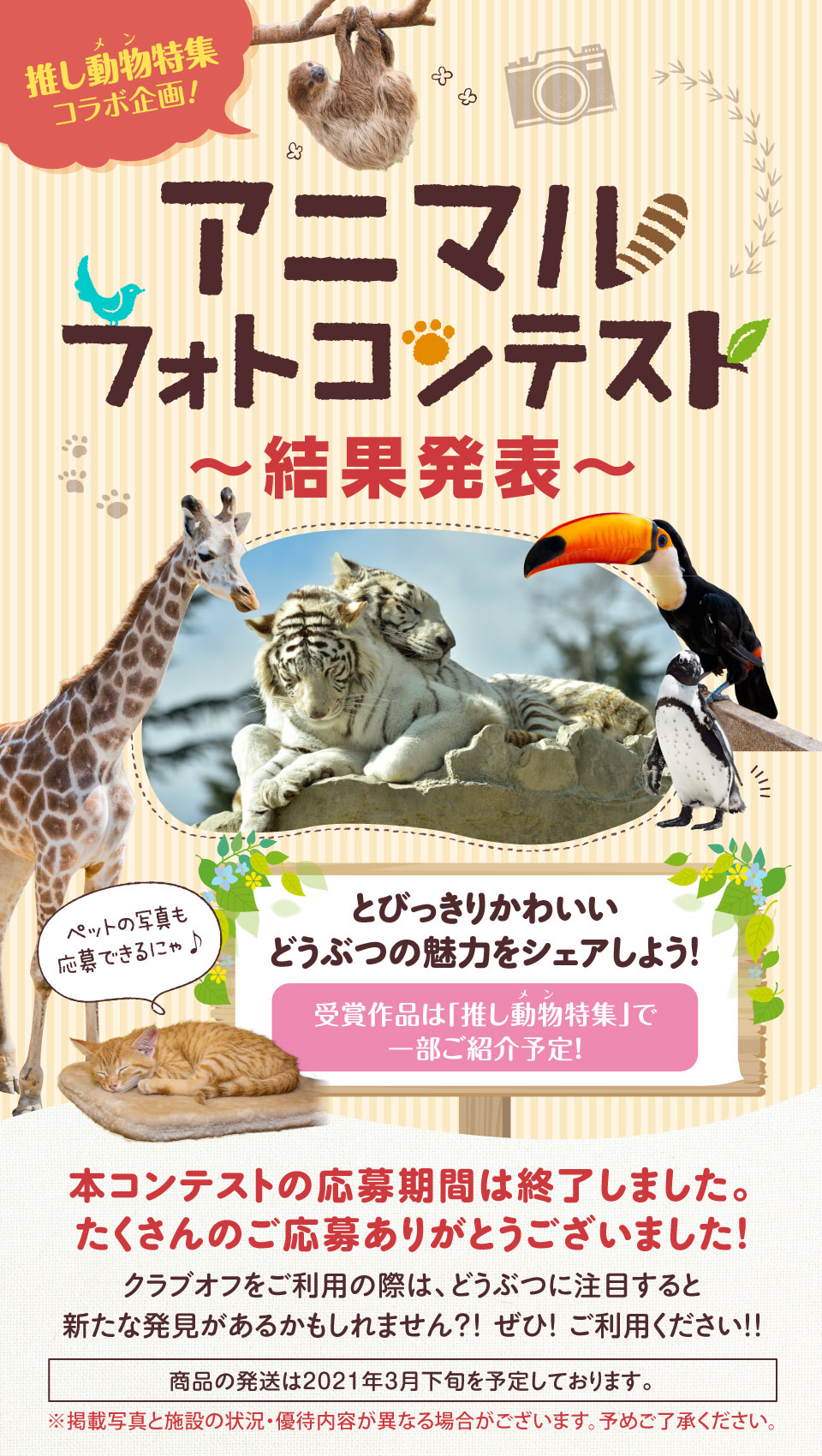 Joyfit Club Off ジョイフィット クラブオフ 会員特典 優待サービス Joyfit Club Off ジョイフィット クラブオフ 会員特典 優待サービス