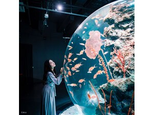 �d�q�`�P�b�g�^�`�p�t�`�q�h�t�l�~�`�q�s�@��������