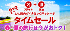JAL_Ci~bNpbP[W ^CZ[