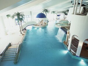 �y���l���z�c�`�x�z�K�g�[�L���O�_���D�y