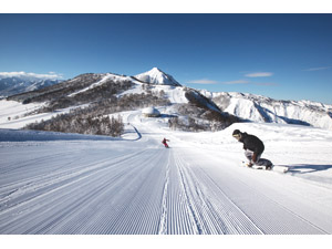 �y�d�q�`�P�b�g�z���q�X�m�[���]�[�g