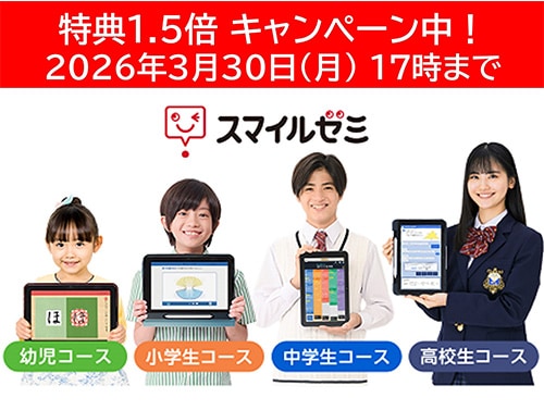 �X�}�C���[�~