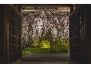 �y�ݐ؃C�x���g�z���S���ޑ��@�@������C�g�A�b�v