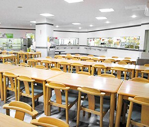 �ߋE��w�������H�w���H��