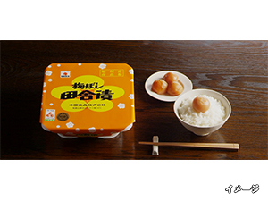 IB~̗@Ȃ@X