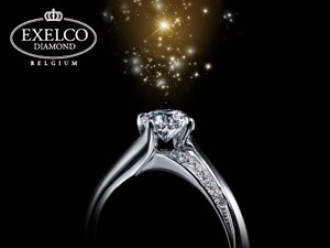 200�N���̗��j�Ɛ��k�ȋZ�p���ւ�y�G�N�Z���R �_�C�������h�z