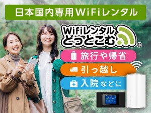 �v���e�������^���ǂ��Ƃ��ށ@���{�����p�v���e��