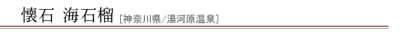 ���� �C�Ξ�
