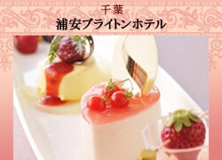 �Y���u���C�g���z�e��
