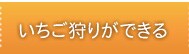 ��������肪�ł���