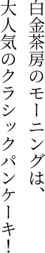 [̃[jÓAlC̃NVbNpP[LI