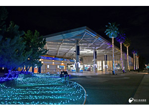 �y�y�A�����ʕ⏕�^�d�q�`�P�b�g�z�V�]�m��������