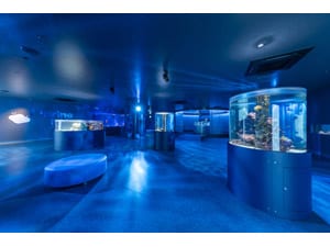 �y�d�q�`�P�b�g�z�L�����Ƃ܂�������