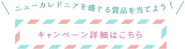 Ly[ڍׂ͂